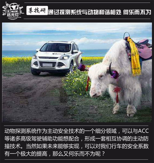 四不像正版资料|深度解答解释落实_精简版BT.0.984