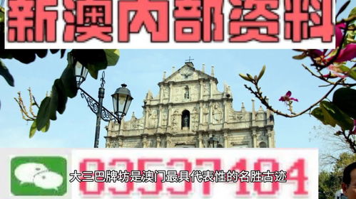 新澳门中特期期精准|探索语言中动态词汇的意义_win7.244